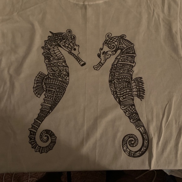 Seahorses - Picture 3 of 3